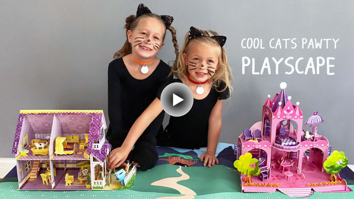 Cool Cats Playscape