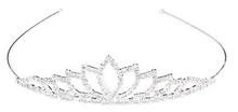 Load image into Gallery viewer, Princess Tutu &amp; Tiara Dress-Up Set