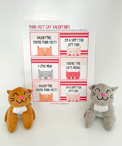 Stuffed Cat Valentines for Kids: Plush Cat Toy + Valentine's Day Cards Kit for Girls + Boys (set of 6)
