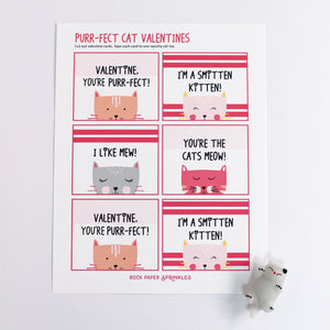 Valentine's Day Card Kit for Kids: CAT Cards + Favors (set of 6)